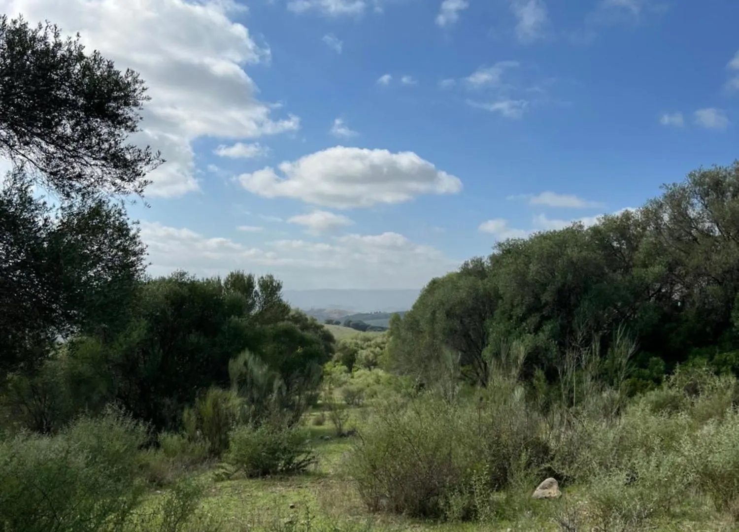 Cortijo Genesis Bed & Breakfast Gaucin 0*,  Spain